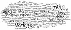 wordle_adaetsylvain02.JPG, oct 2008 wordle_adaetsylvain02.JPG