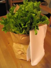 panier bio sac en papier, nov. 2008 panier bio sac en papier